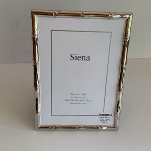 Silver plated frame